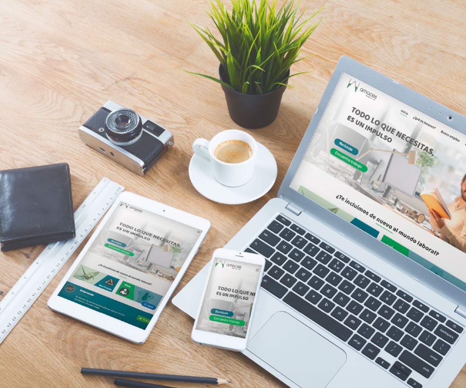 Diseño web en Málaga